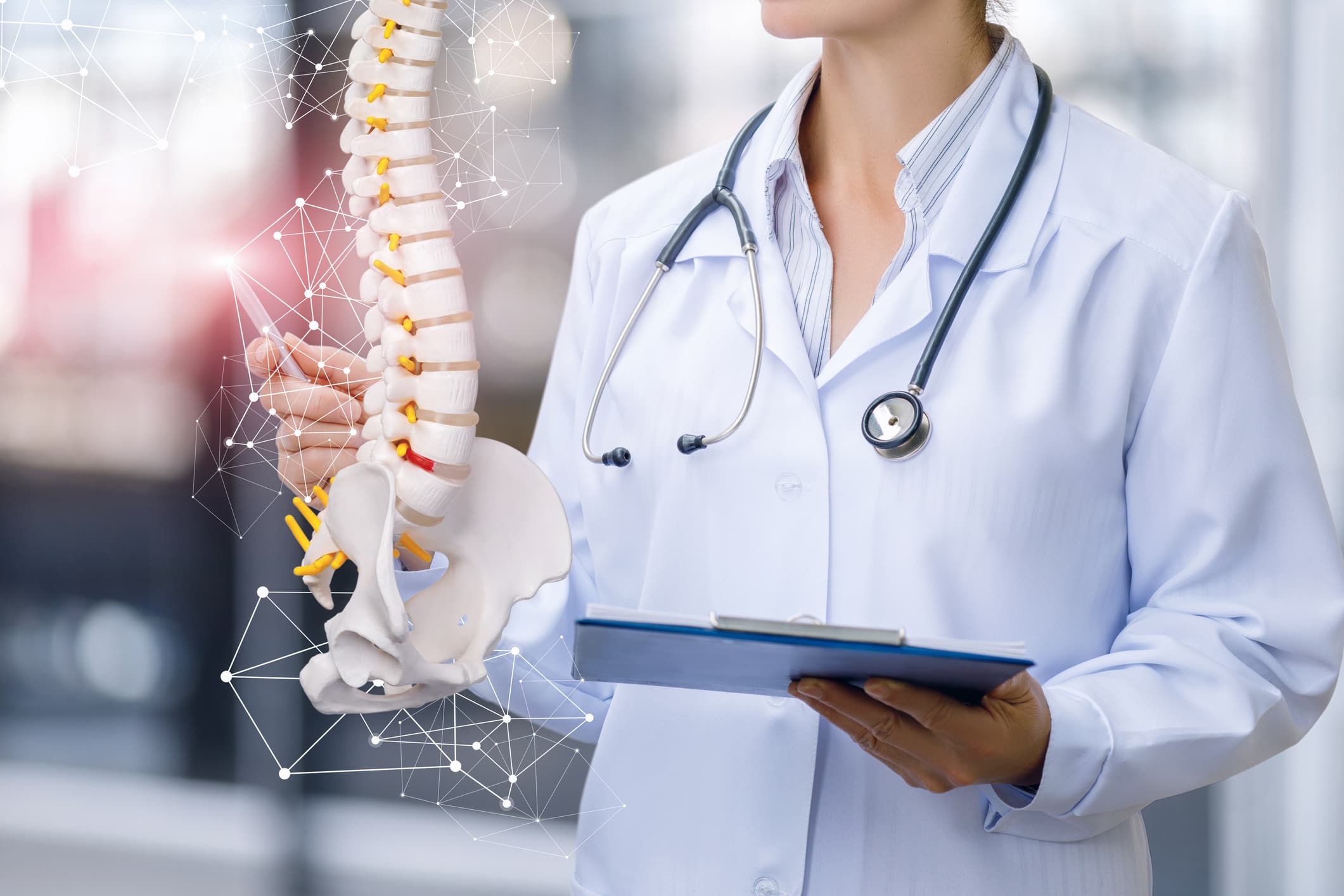 A medical worker shows the spine on blurred background.